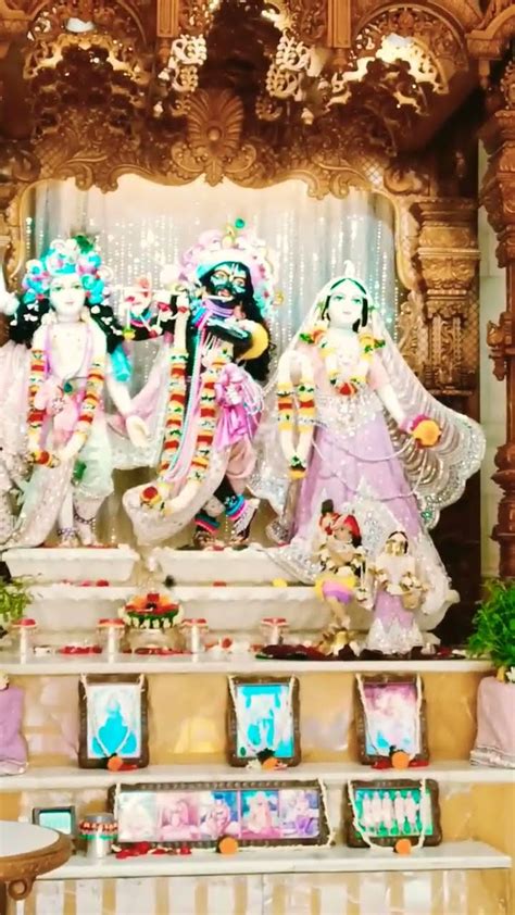 🙏🙏🌸🌸jai Shree Krishna Radhe Radhe 🌸🌸🙏🙏 Youtube