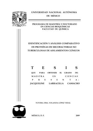 Identificaci N Y An Lisis Comparativo De Prote Nas De Micobacterias No