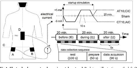 Figure From Transcutaneous Spinal Direct Current Stimulation Tsdcs