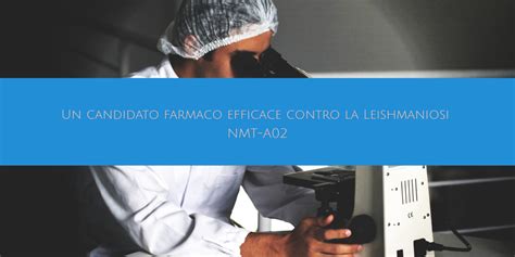 Un Candidato Farmaco Efficace Contro La Leishmaniosi Nmt A Elicats It