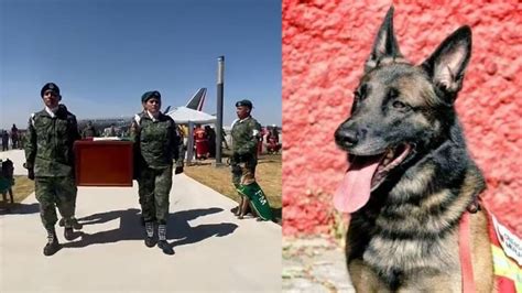 Proteo llegó a México y le rinden homenaje