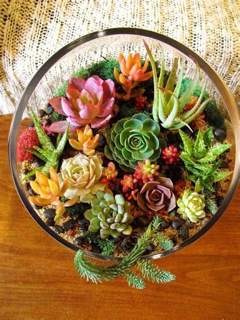 How To Make An Indoor Succulent Dish Garden With Images Air