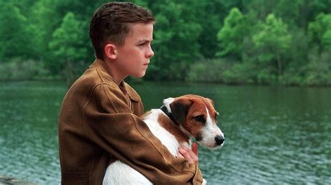 Dog Movies 12 Best Films About Dogs Ever The Cinemaholic