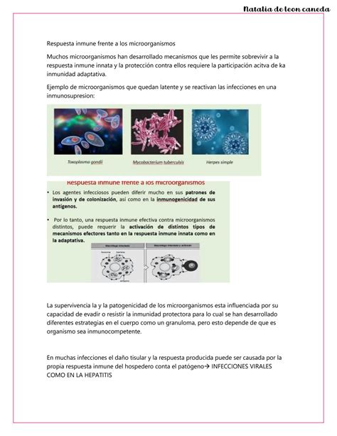 Solution Aspectos Generales Sobre La Inmunolog A De Las Enfermedades