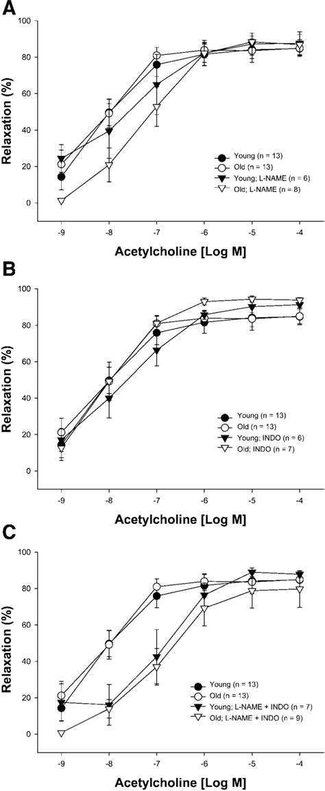 Effects Of Indomethacin And L Name On Responses To Ach In Gastrocnemius