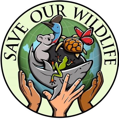 Save Our Wildlife Learn Oakvale Wildlife