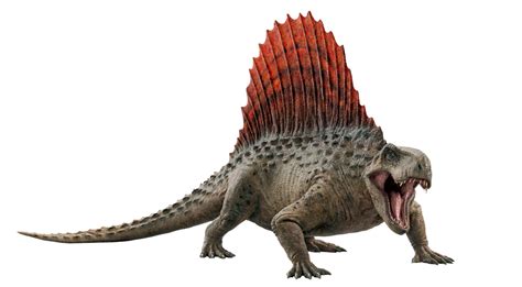 Jurassic world dominion dimetrodon render png by Junior3DSYMas on ...