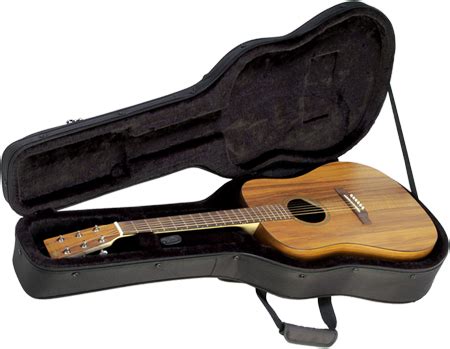 Choosing The Best Acoustic Guitar Case (Guitarsite)