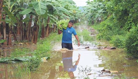 Las Catástrofes Se Cuadruplican Y Merman La Agricultura Impulsobaires