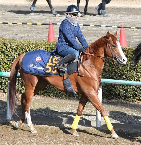 ジオッコピアノ 米国最強馬の遺伝子継ぐ逸材 田中博師「好素材は間違いない」 競馬ニュース