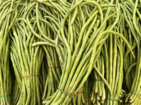 Green Yard Long Beans In A Market Stock Image Image Of Long