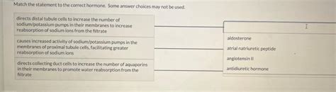 Solved Match The Statement To The Correct Hormone Some Chegg