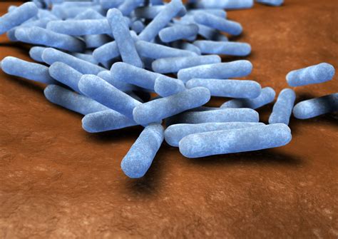 Antibiotics For Uti Medscape at Milla Levi blog