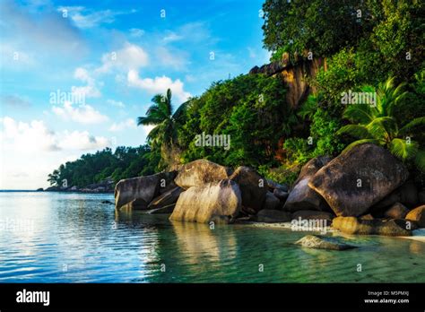 Les Roches De Granit De Sable Dor Et De Palmiers Une Belle Plage De