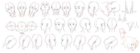 Head and Neck Drawing Reference | Drawing Refer...