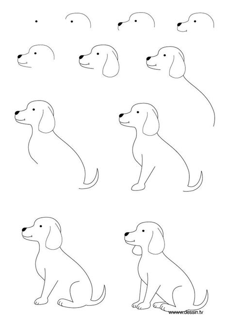 Easy Step-by-Step Guide to Drawing a Dog