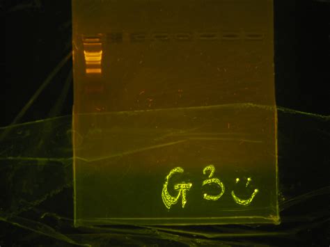 IMG 4868 1 PGLO Plasmid Digests Bruce Heyer Flickr