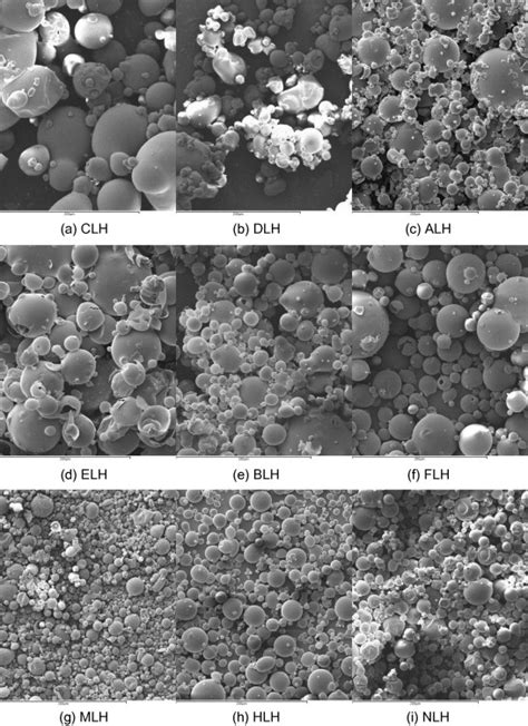 Sem Images Of Spray Dried Powders At Fixed Process Conditions Of Low