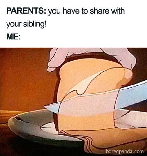 30 Of The Best Sibling Memes Ever Sibling Memes Funny Relatable