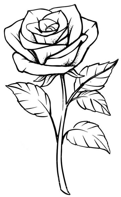 Pin By Artby Ma66 On Stencilsillustrations Rose Sketch Roses Drawing Rose Drawing