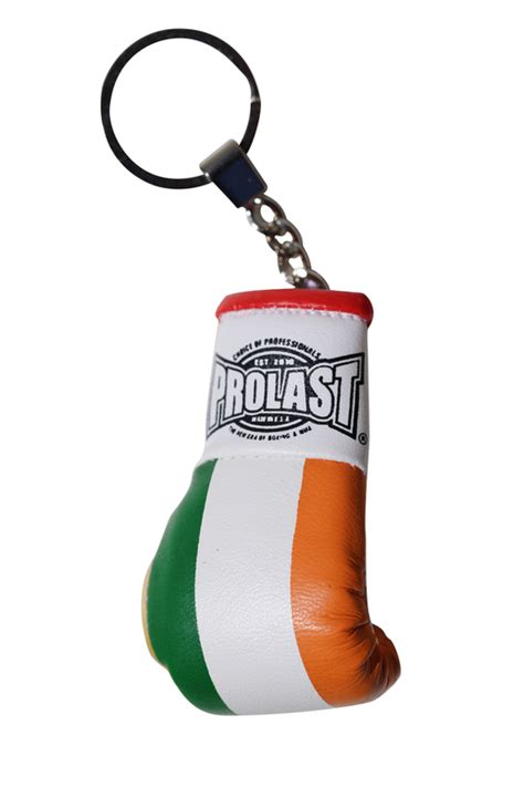 Prolast® Armenia Mini Boxing Gloves Prolast