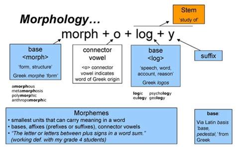 Morphology - English Language Learners