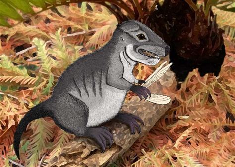 New Species Of Ancient Cynodont 220 Million Years Old Heritagedaily