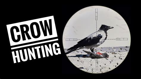 Crow Hunting 2021 Youtube