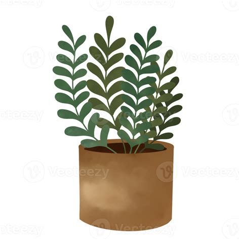 Ilustraci N De Plantas En Maceta Plantas De Interior Png