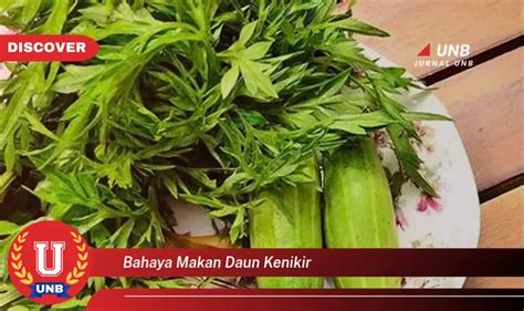 Intip 10 Bahaya Makan Daun Kenikir Yang Wajib Diketahui