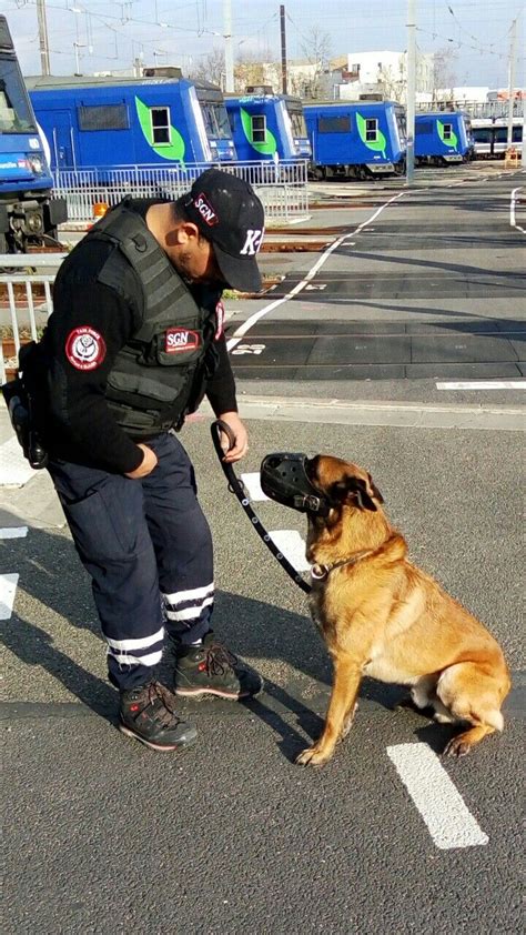 AGENCE DE SÉCURITÉ en 2023 Agence de sécurité Maitre chien Agent de