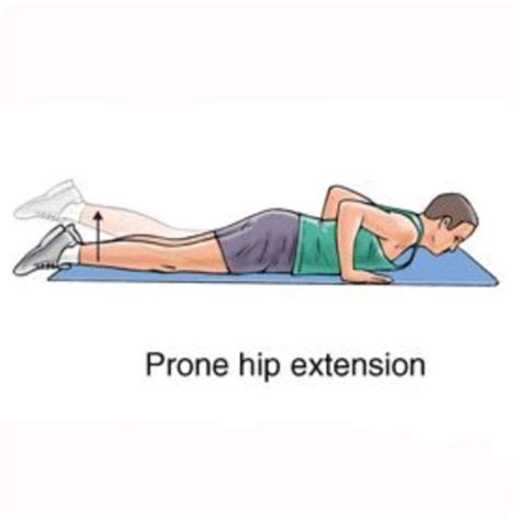 Prone Hip Extension - Exercise How-to - Workout Trainer by Skimble