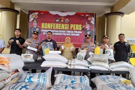 Pengusaha Di Serang Palsukan Beras Bulog Berjamur Jadi Premium Terjual