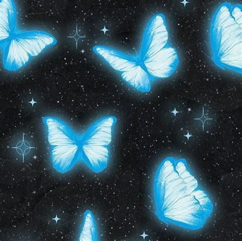 Black Background Wallpaper with Blue Butterfly