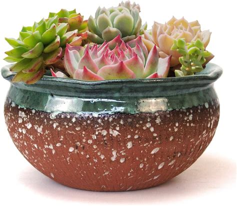 Summer Impressions Inch Glazed Terracotta Plant Pot Round Ceramic