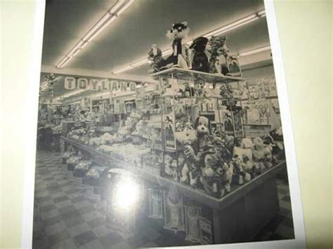 This Photo Is The Newberry Store In Woodmar Mall In Hammond Indiana