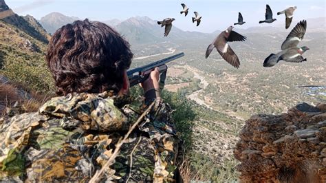 Wood Pigeons Hunting Adventure Khyber Hunting Tube