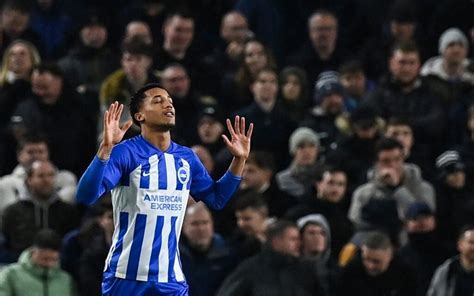 Jo O Pedro Brilha Gols E Assist Ncia E Brighton Vence Tottenham