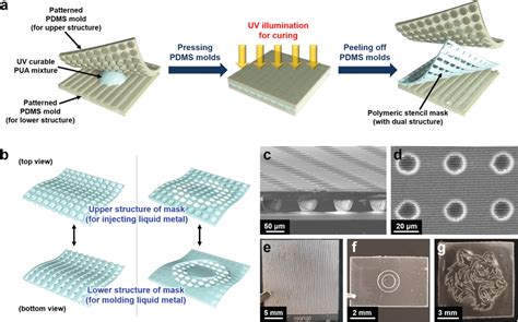 A Schematic Illustration Of The Preparation Of Polymeric Stencil Mask