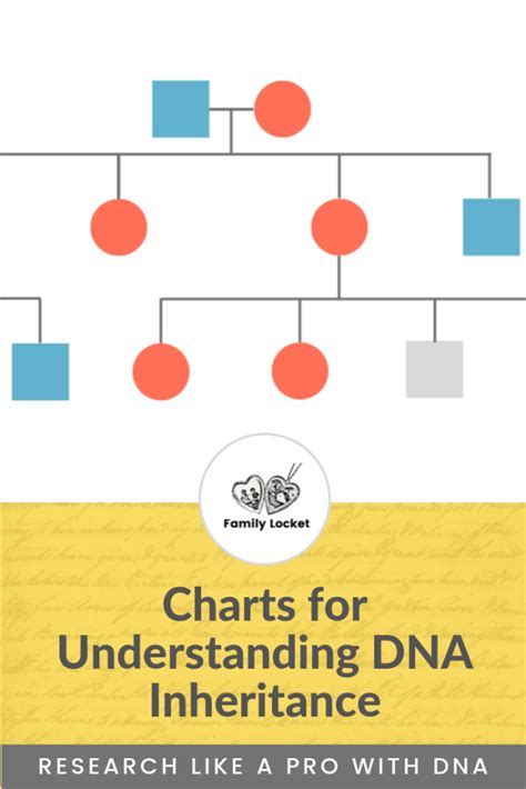 Charts for Understanding DNA Inheritance – Family Locket