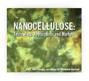 NANOCELLULOSE: Technology, Applications and Markets - RISI - Objective ...