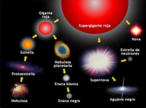 Dibuja U Diagrama Que Presente La Evolucion Estelar De Una Estrella