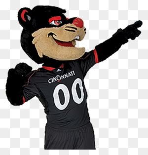 university  cincinnati bearcats logo  transparent png clipart