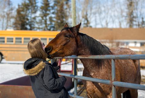 Wa Ranches Opens Its Gates To Collaborations Across University Of