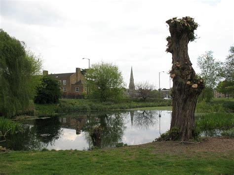 Small Pond On Blackheath Stephen Craven Cc By Sa Geograph