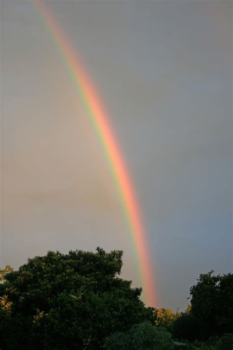 Rainbow In The Sky Free Stock Photo Public Domain Pictures