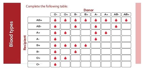 Blood Type Donor Recipient Chart - Best Picture Of Chart Anyimage.Org