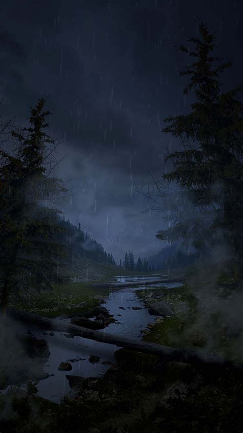 Rain In Forest IPhone Wallpaper HD - IPhone Wallpapers : iPhone ...