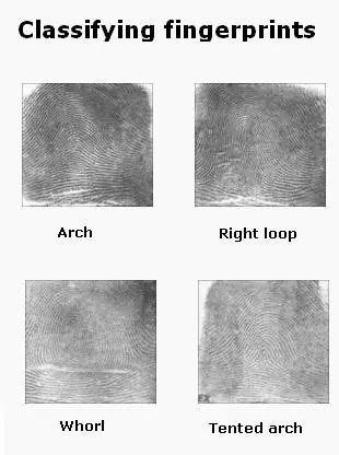 Automated Fingerprint Identification System - Modules and Applications