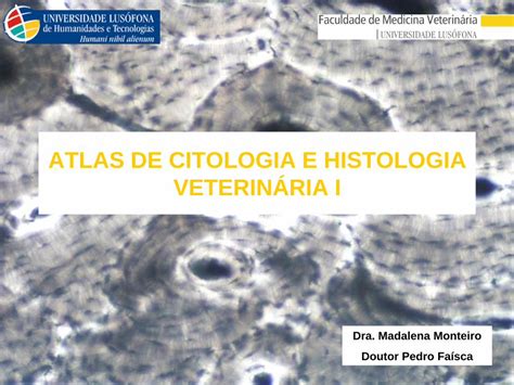 PDF ATLAS DE CITOLOGIA E HISTOLOGIA VETERINÁRIA I DOKUMEN TIPS